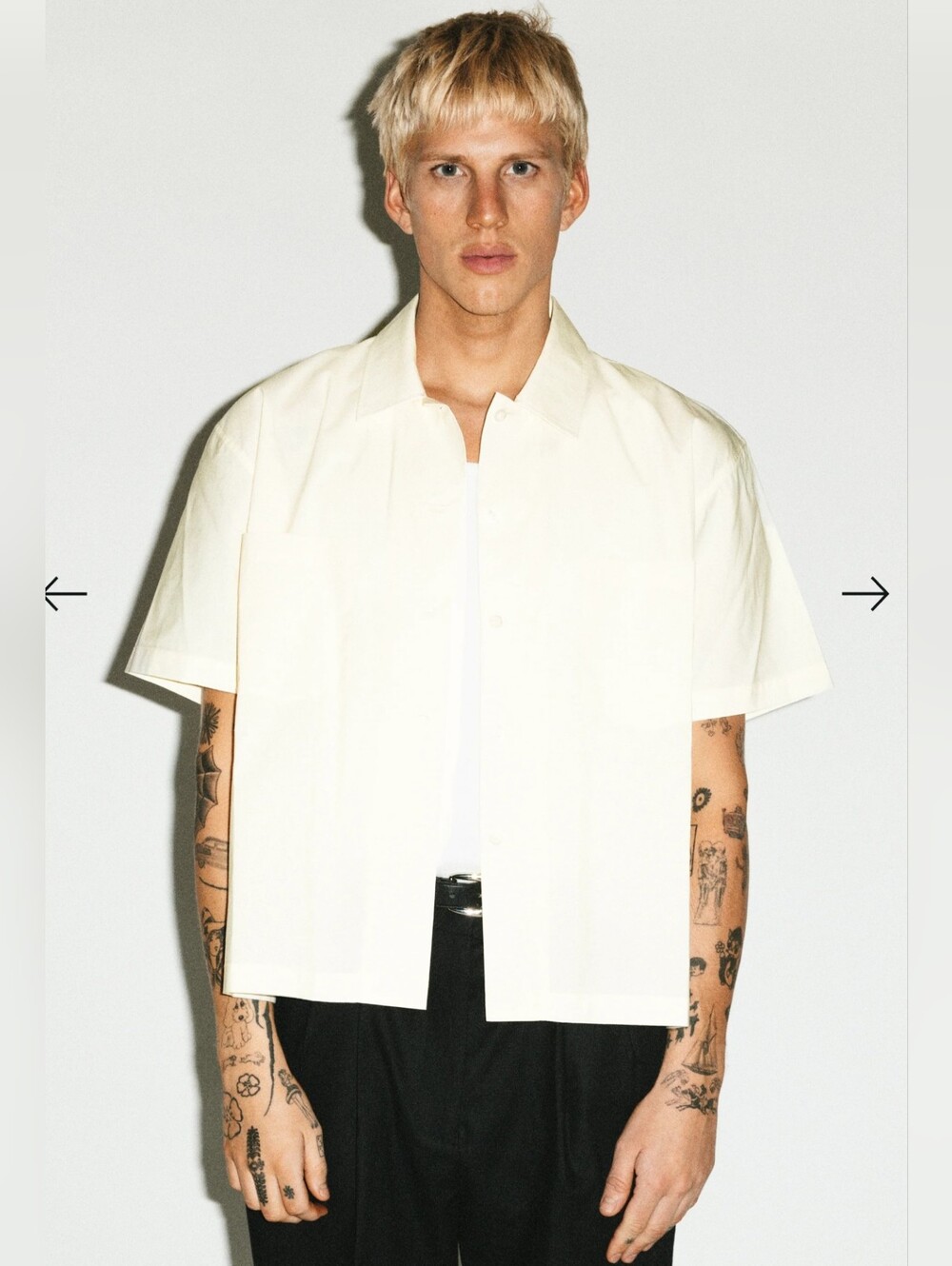 California Arts And Recreation Board Button Down